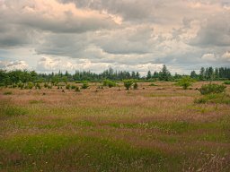 IMGP6165-1_Borris Soenderland